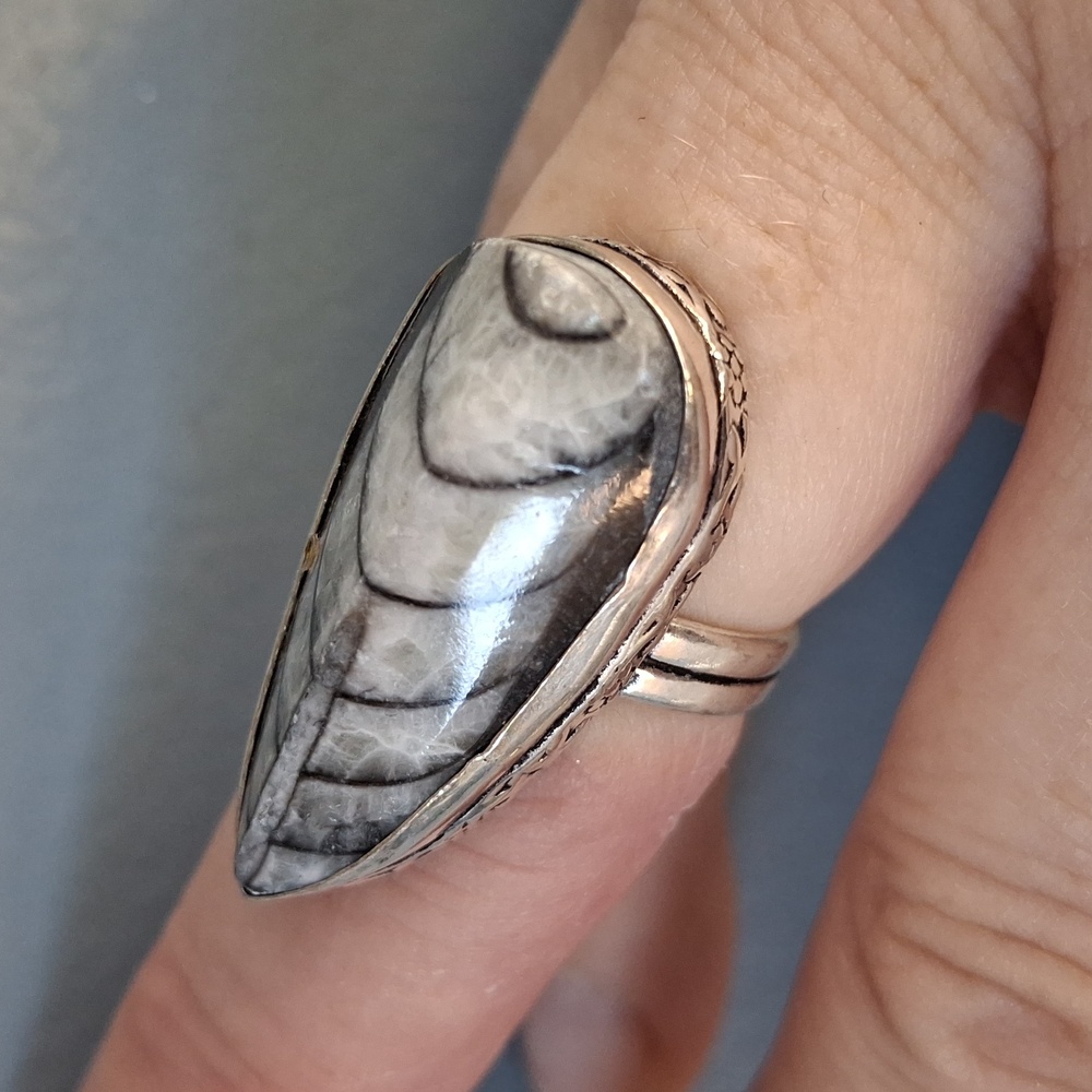 New Orthoceras Fossil 925 Silver Ring.